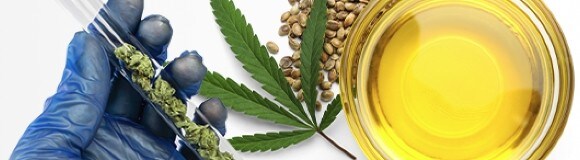 industrial-cat-cannabis-22-2086 Science et services liés au cannabis
