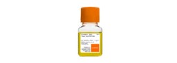 Microbiology Susceptibility Testing