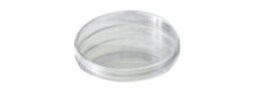 Petri Dishes