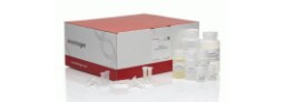 DNA Extraction and Purification