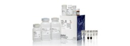 RNA Isolation and Purification