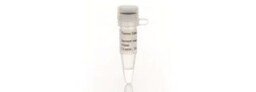 Oligonucleotides