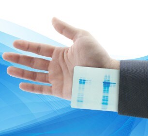 protein-blotting-handbook-form-image protein-blotting-handbook-form-image