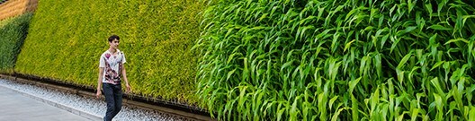 future-foods-sustainable-farming-art-18-101-0508- future-foods-sustainable-farming-art-18-101-0508-