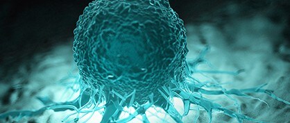 Des « avatars de tumeurs » pourraient aider à identifier des traitements efficaces contre le cancer