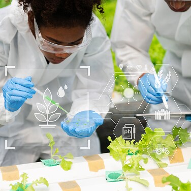 Une question de goût : Comment la science des aliments améliore ce que nous mangeons et buvons Une question de goût : Comment la science des aliments améliore ce que nous mangeons et buvons