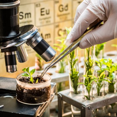 Advancing Agriscience and the Bioeconomy