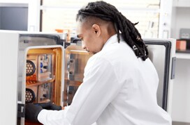 Cell Culture