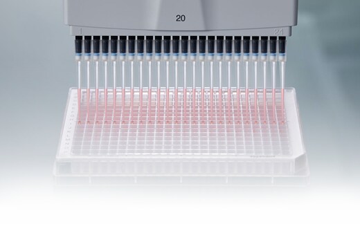 Electronic multi-channel pipettes fill microplate wells with red liquid.