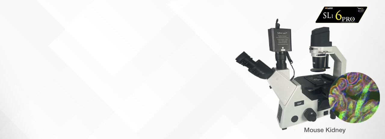 laxco-banner-fr-23-1561