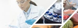 Food and Beverage Testing Methods Food and Beverage Testing Methods