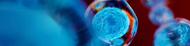 Cell and Gene Therapy Solutions