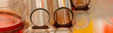 The Simple Ways to Prevent Cell Culture Contamination