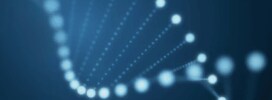 PCR and qPCR Methods PCR and qPCR Methods
