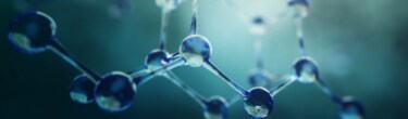 Molecular Biology
