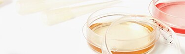 Cell Culture
