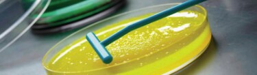 Beginning-to-end Solutions for Microbiology Brochure Beginning-to-end Solutions for Microbiology Brochure