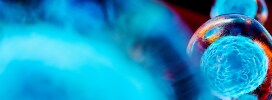 Cell and Gene Therapy Solutions Cell and Gene Therapy Solutions