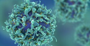 Ancestral Antiviral Proteins May Protect Against Infection