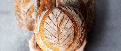 Fermentation Fundamentals: The Science of Sourdough Bread
