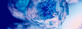 Cell Analysis Methods Cell Analysis Methods